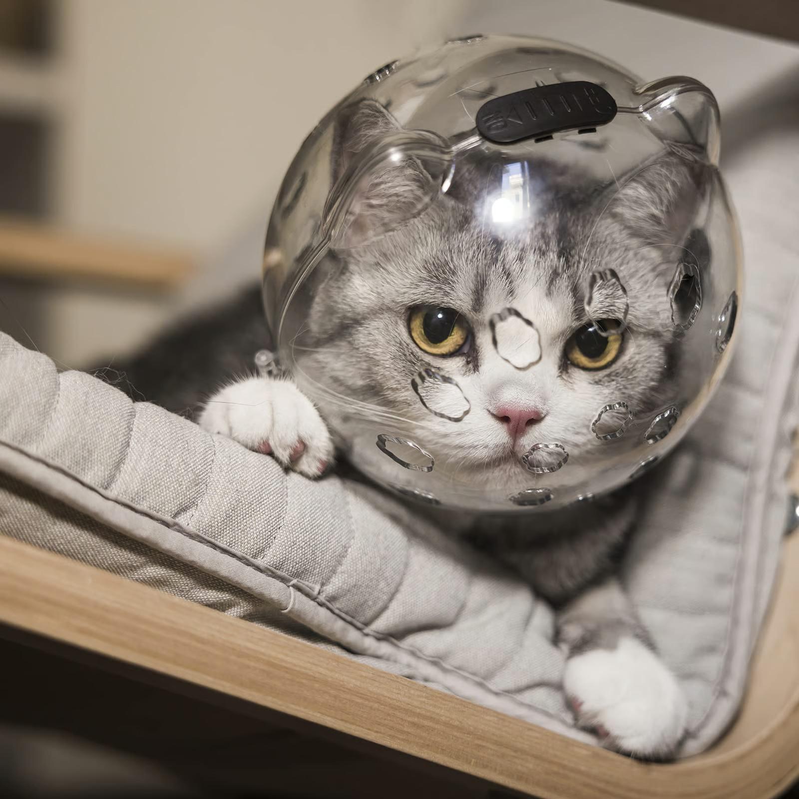 Космический капюшон-намордник Капюшон для вылизывания Дышащий Капюшон стыда Елизаветинский воротник M